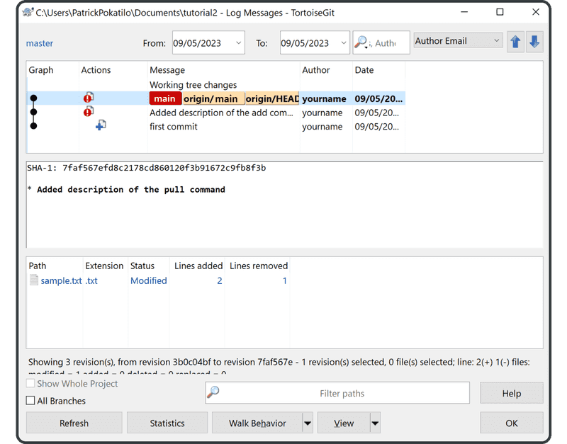 Push to the remote repository