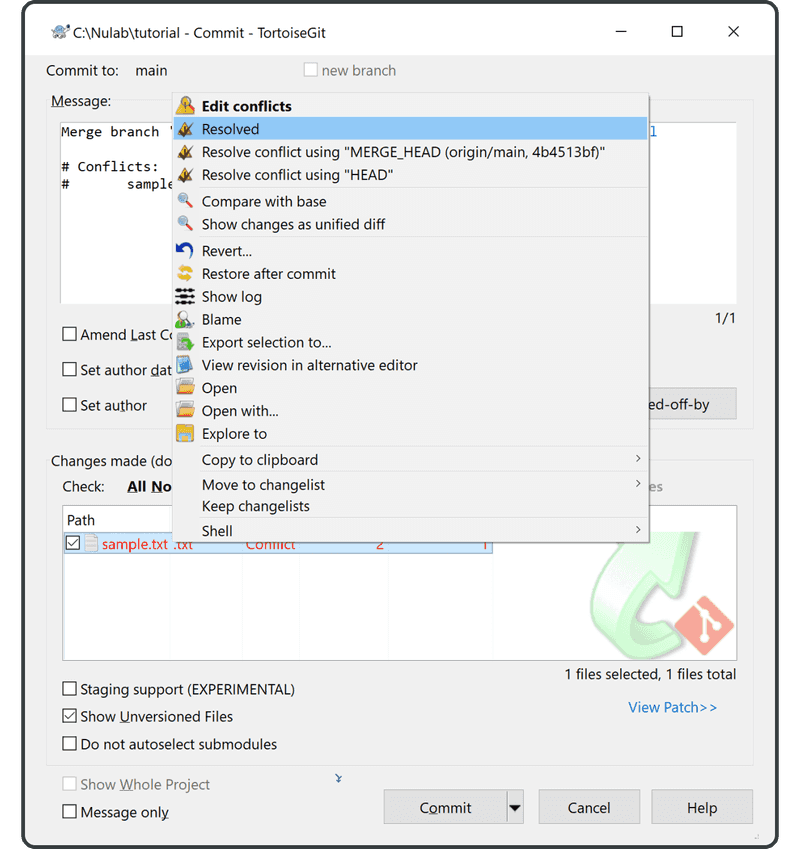 Right-click the sample file and choose Resolved